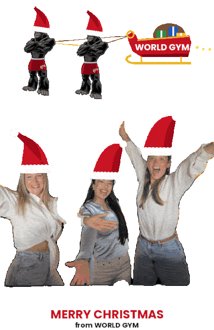 The team jumping up in Santa hats while World Gym gorillas pull a sleigh across the sky